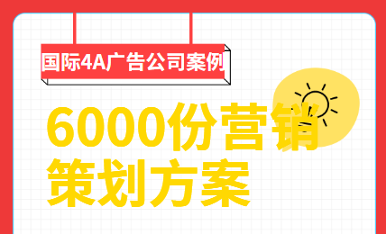 6000份營銷策劃方案插圖