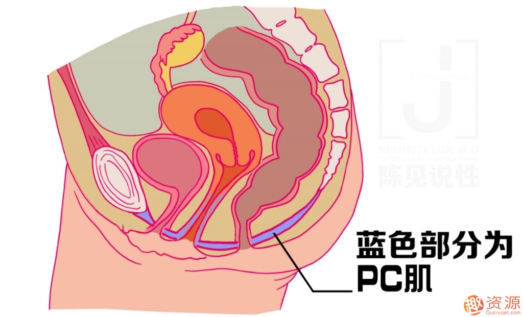 女性朋友怎么練習(xí)玉蛋功？玉蛋功鍛煉詳解插圖