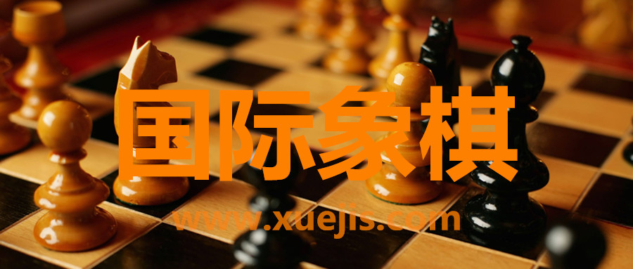 國際象棋視頻教程  百度網(wǎng)盤插圖