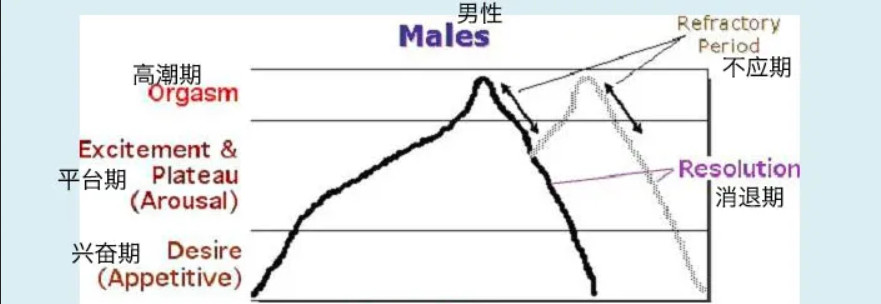 令人迷惑的“賢者模式”，抽搐后索然無味插圖1