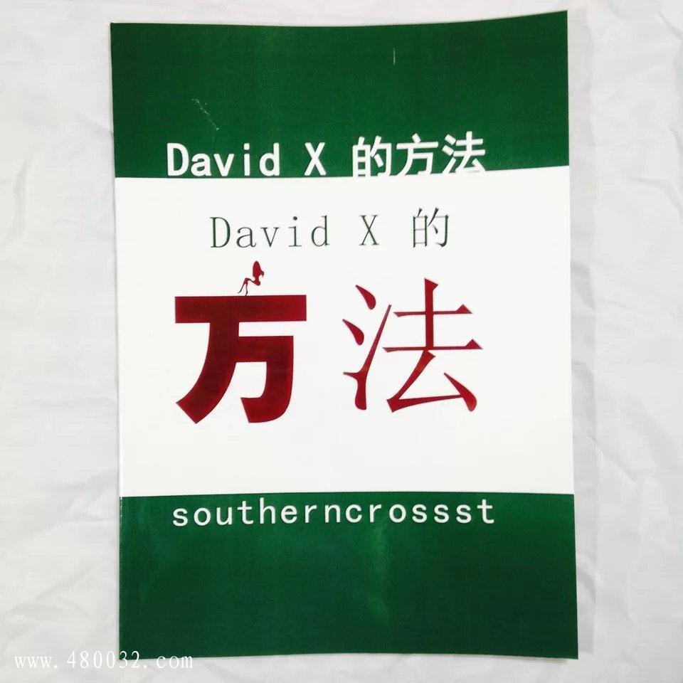 《David+X方法》PDF掃描版_百度云網盤資源教程插圖