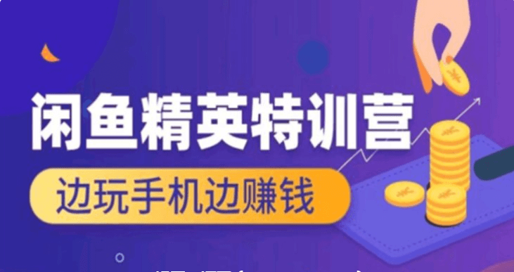 翼牛學堂：閑魚精英特訓營進階班，邊玩手機邊賺錢價值4999元-百度云網(wǎng)盤教程視頻插圖