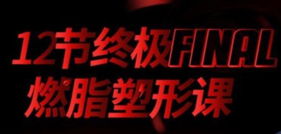 寧澤濤、張鈞甯、李晨健身教練黨寧遠：12節(jié)終極燃脂塑形課 百度云分享_百度云網(wǎng)盤教程視頻插圖