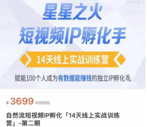 瑤瑤?自然流短視頻IP孵化第二期，成為有數(shù)據(jù)能賺錢的獨(dú)立IP孵化手百度網(wǎng)盤插圖