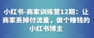 小紅書-商家訓(xùn)練營12期：讓商家丟掉付流量，做賺錢小紅書博主百度網(wǎng)盤插圖