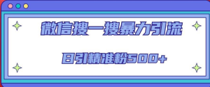 微信搜一搜引流全系列課程，日引精準(zhǔn)粉500+（8節(jié)課）百度網(wǎng)盤插圖