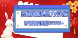 豆瓣精準暴力引流，日引精準粉500+【12課時】百度網盤插圖