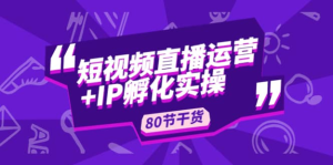 謙四?短視頻直播運營及IP孵化實操，80節(jié)干貨實操分享百度網(wǎng)盤插圖