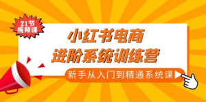 小紅書電商新手入門到精通實(shí)操課，從入門到精通做爆款筆記百度網(wǎng)盤插圖