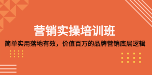 營銷實操培訓(xùn)班：簡單實用落地有效，價值百萬的品牌營銷底層邏輯百度網(wǎng)盤插圖