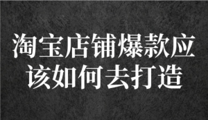 冠東?爆款店鋪淘系爆款選品方法，一個(gè)好選品思路決定是否盈利百度網(wǎng)盤插圖