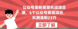 公眾號漲粉變現(xiàn)實戰(zhàn)項目課，5個公眾號變現(xiàn)，漲粉23萬百度網(wǎng)盤插圖