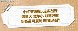 小紅書鋪貨玩法實操課，流量大，競爭小，新賽道可復(fù)制性強團隊操作插圖