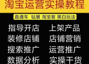 2023淘寶開(kāi)店教程0基礎(chǔ)到高級(jí)全套視頻網(wǎng)店電商運(yùn)營(yíng)培訓(xùn)教學(xué)課程（2月更新）百度網(wǎng)盤(pán)插圖