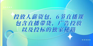 三里屯?投放人薪資包，6節(jié)直播課，直播帶貨、廣告投放獨(dú)家秘籍百度網(wǎng)盤插圖