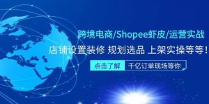 跨境電商Shopee蝦皮運營實操直播課（10節(jié)系統(tǒng)課）百度網(wǎng)盤插圖