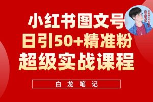 小紅書圖文號日引50+精準(zhǔn)流量，新手小白實(shí)戰(zhàn)的小紅書引流課百度網(wǎng)盤插圖