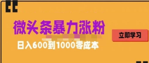 微頭條暴力漲粉技巧搬運文案就能漲幾萬粉絲，0成本日賺600百度網(wǎng)盤插圖