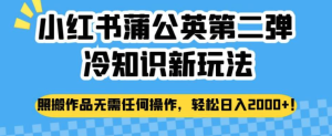 小紅書蒲公英冷知識新玩法，照搬作品賺錢副業(yè)百度網(wǎng)盤插圖