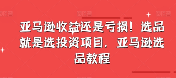 亞馬遜收益還是虧損！選品就是選投資項(xiàng)目，亞馬遜選品教程插圖