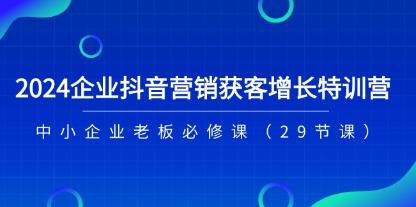 《企業(yè)抖音-營銷獲客增長特訓(xùn)營》中小企業(yè)老板必修課插圖