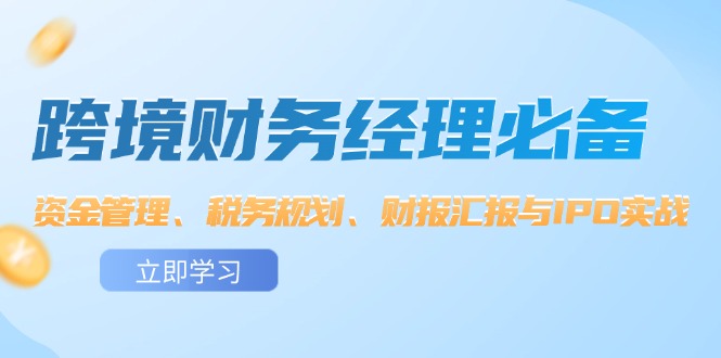 跨境財(cái)務(wù)經(jīng)理必備：資金管理、稅務(wù)規(guī)劃、財(cái)報(bào)匯報(bào)與IPO實(shí)戰(zhàn)插圖