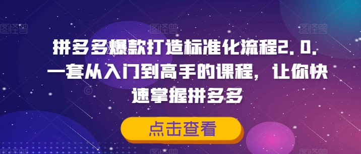 拼多多爆款打造標(biāo)準(zhǔn)化流程2.0，一套從入門(mén)到高手的課程，讓你快速掌握拼多多