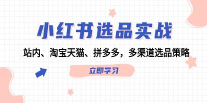 《小紅書選品實戰(zhàn)》站內、淘寶天貓、拼多多，多渠道選品策略插圖