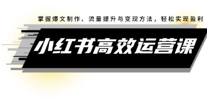 《小紅書高效運(yùn)營課》掌握爆文制作、流量提升與變現(xiàn)方法，輕松實(shí)現(xiàn)盈利插圖