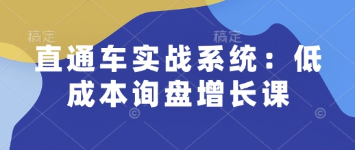 直通車實(shí)戰(zhàn)系統(tǒng)：低成本詢盤增長(zhǎng)課插圖